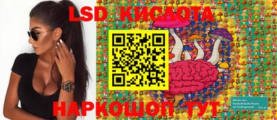 ECSTASY Новозыбков