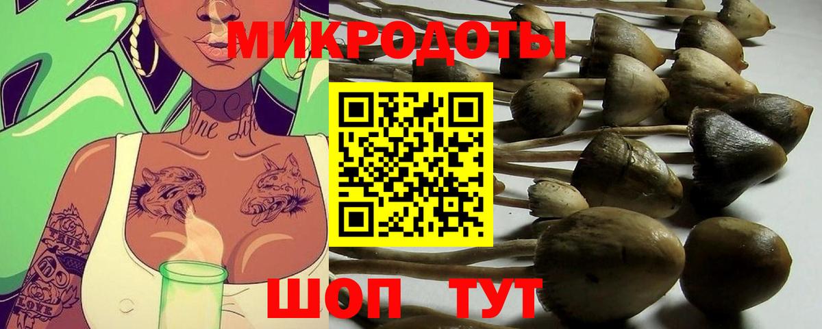Галлюциногенные грибы мухоморы  Вход с VPN  Сызрань 